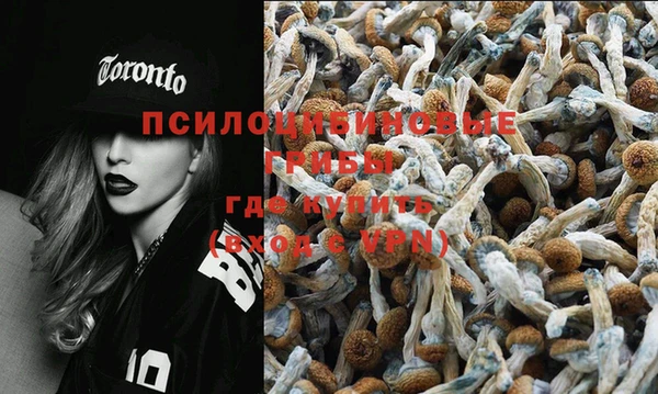 прущие крисы Волосово
