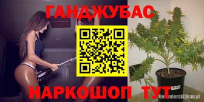 гидропоника Малгобек