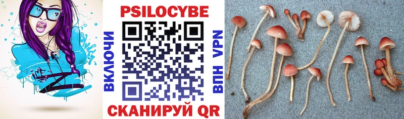 Галлюциногенные грибы MAGIC MUSHROOMS  Славянск-на-Кубани 