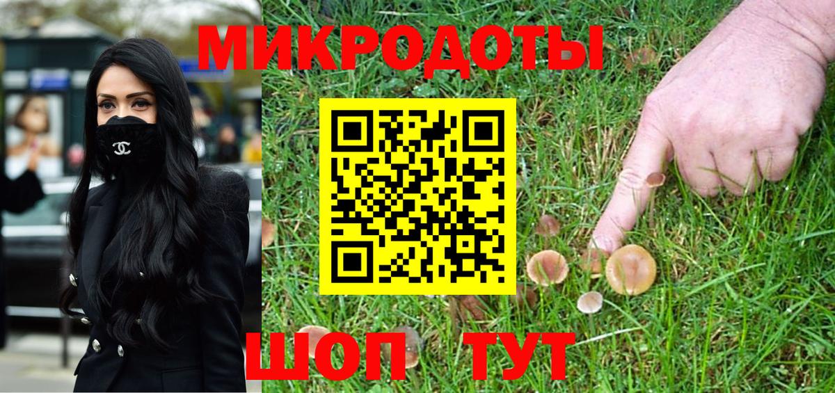 Славянск-на-Кубани  Галлюциногенные грибы Psilocybe  Вход с VPN 
