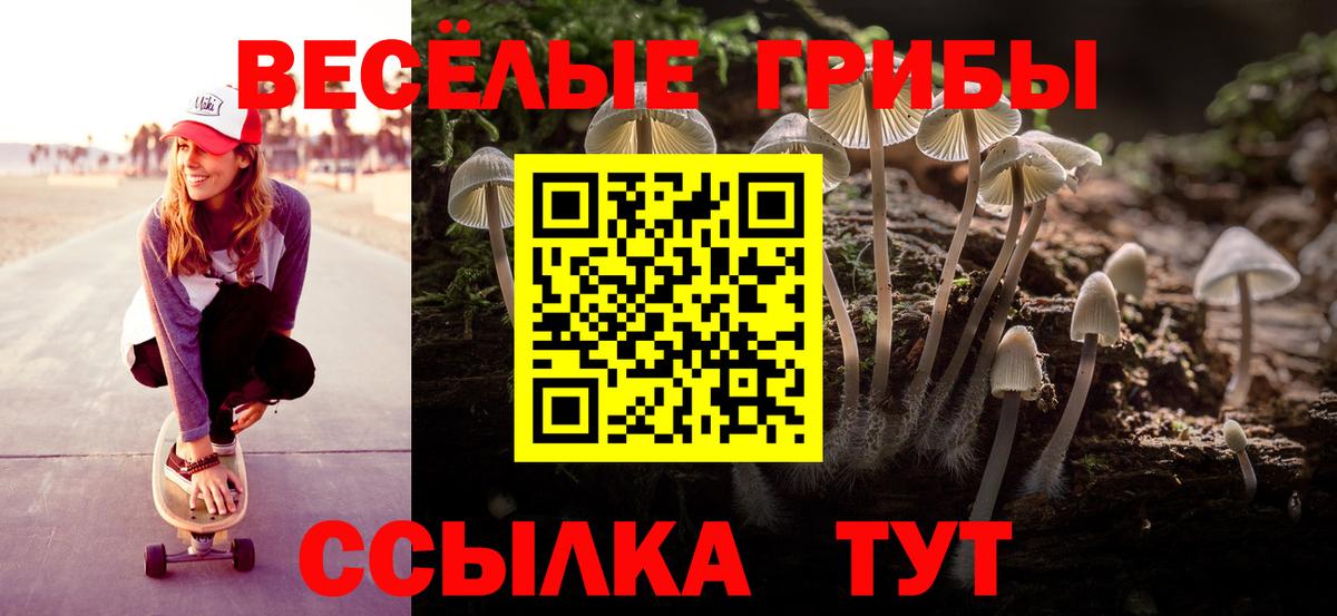Галлюциногенные грибы GOLDEN TEACHER Славянск-на-Кубани